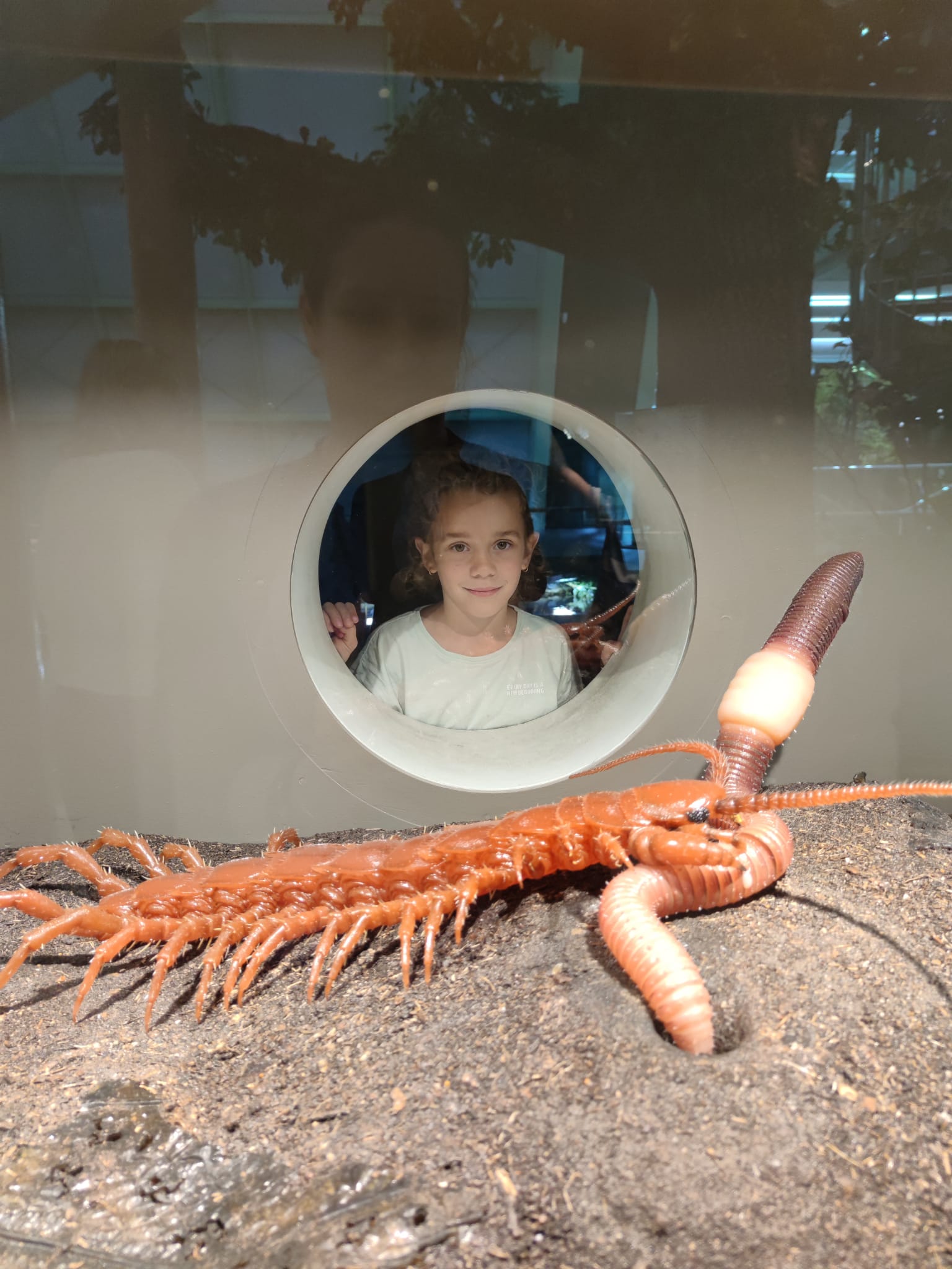 Read more about the article Besuch im Landesmuseum NÖ