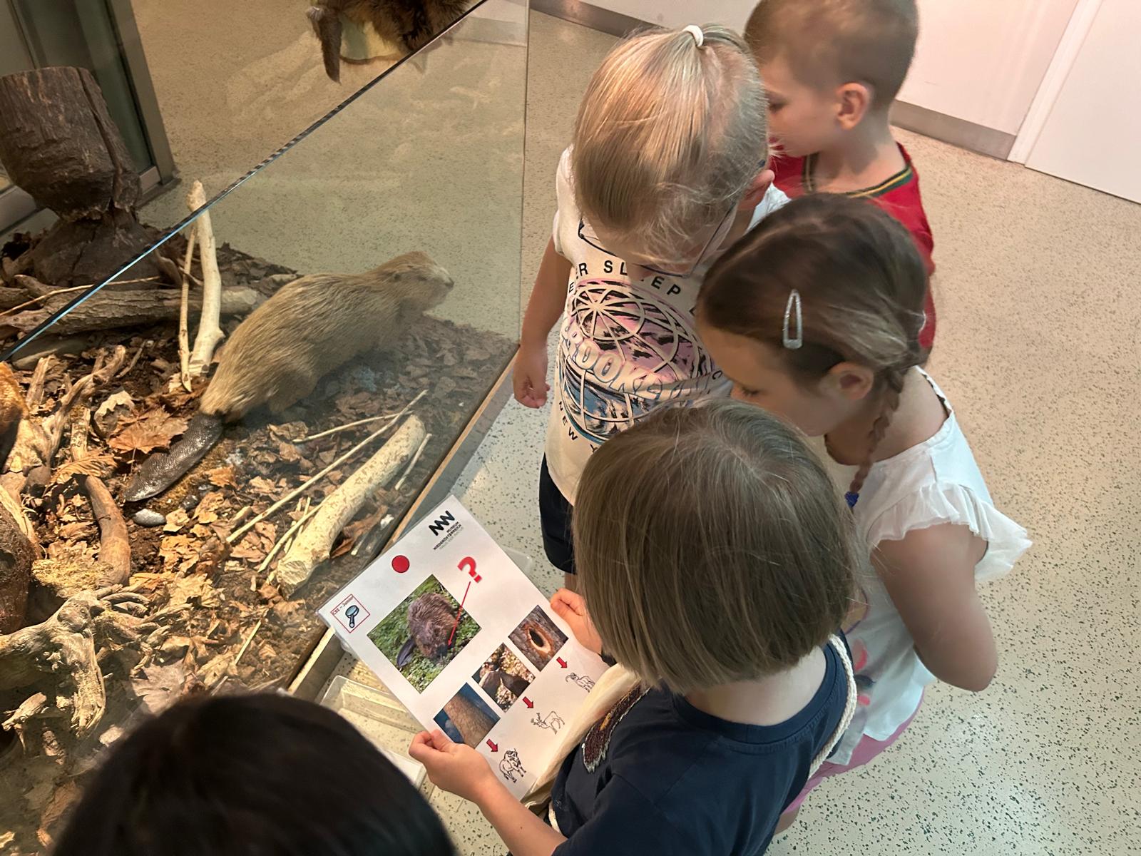 Read more about the article Führung und Workshop im Landesmuseum NÖ