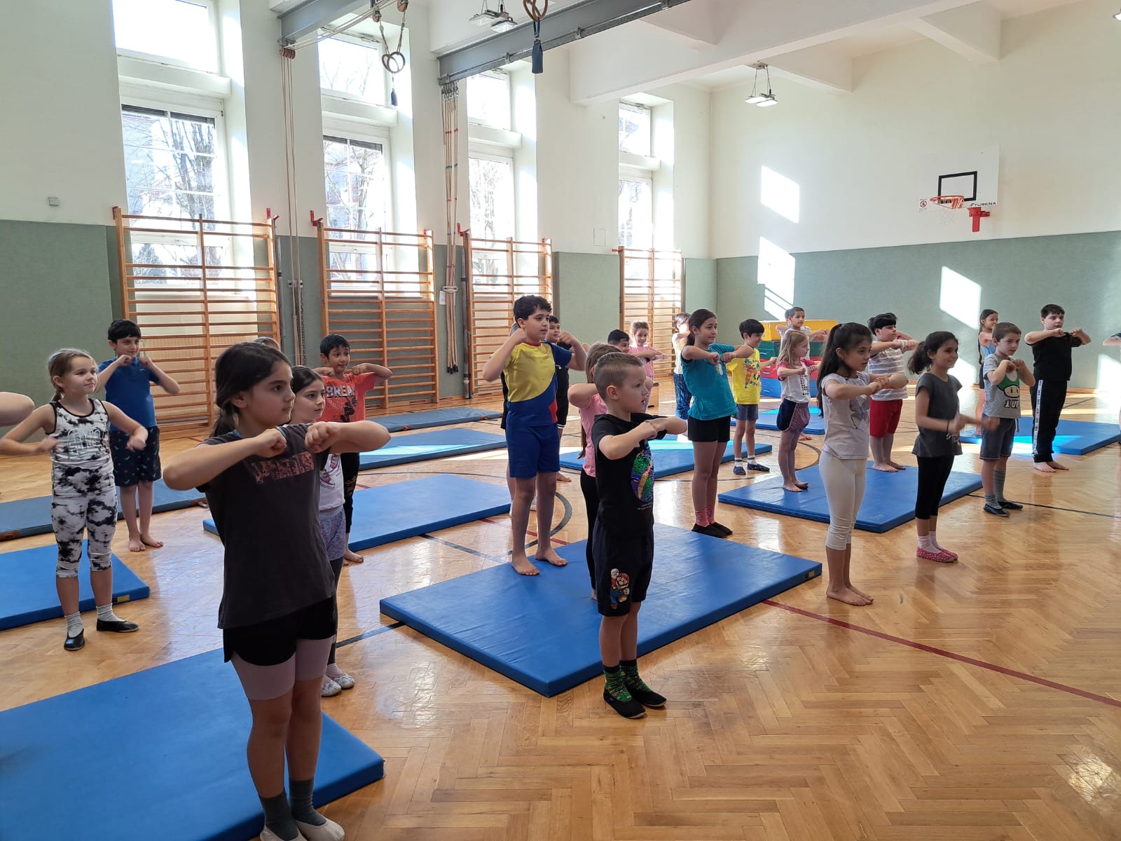 Read more about the article Cheerleading-Workshop