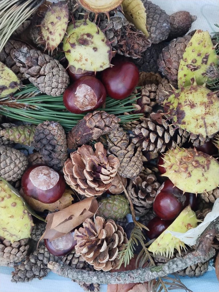 Der Herbst in der 1 b